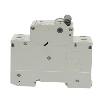 Sezionatore, interruttore automatico di sovraccarico 2P, 125A, 550VDC Longroad - immagine 4
