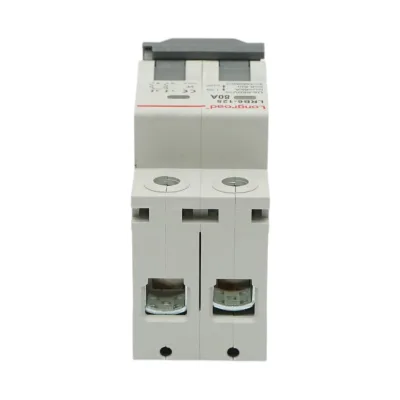 Sezionatore, interruttore automatico di sovracorrente 2P, 80 A, 550 VDC Longroad - immagine 4