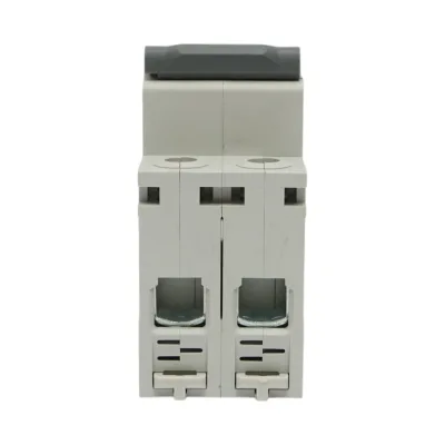 Sezionatore, interruttore automatico di sovracorrente 2P, 80 A, 550 VDC Longroad - immagine 2