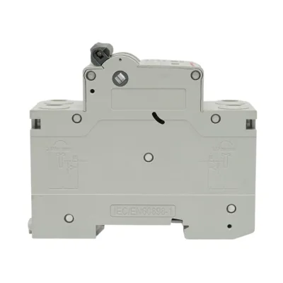 Sezionatore, interruttore automatico di sovracorrente 2P, 80 A, 550 VDC Longroad - immagine 3