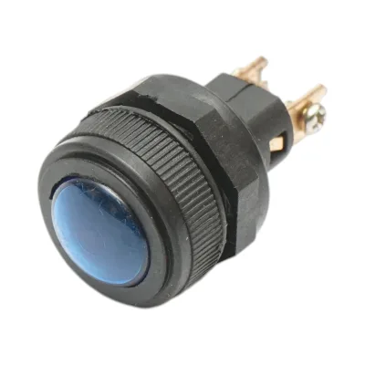Spia luminosa blu 12V/10A–24V/5A 2 pin universale - immagine 2