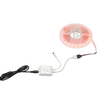 Striscia LED 5050 12W/m RGBW, 12-220V rotolo 5m, 60 LED/m IP20 - immagine 3
