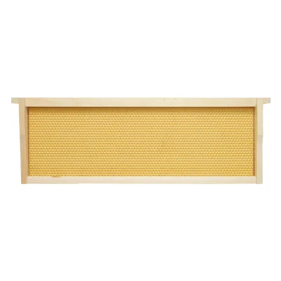 Telaio per arnia in legno con favo in plastica tipo Dadant, dimensioni 483x448x159 mm