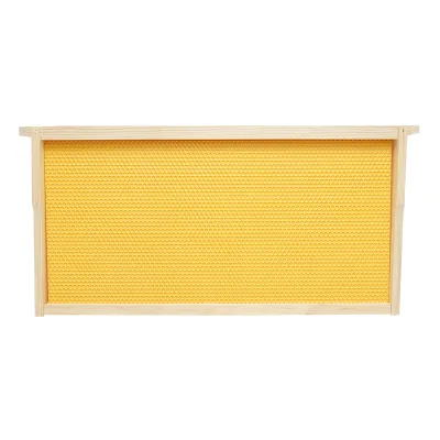 Telaio per arnia in legno con favo in plastica tipo Dadant, dimensioni 483x448x232 mm