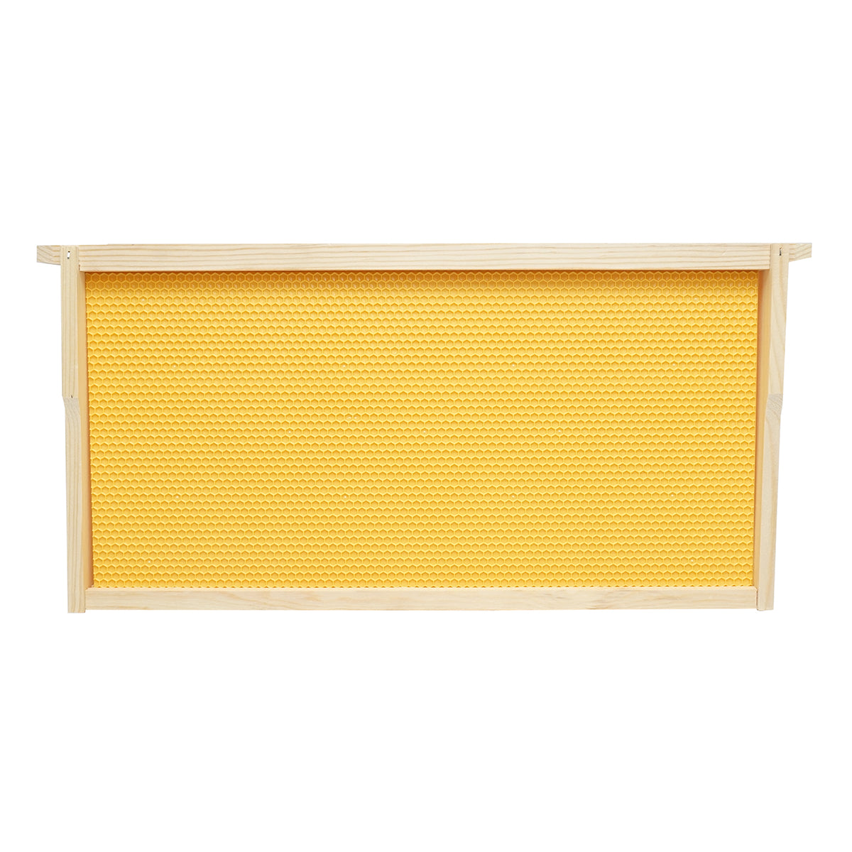 Telaio per arnia in legno con favo in plastica tipo Dadant, dimensioni 483x448x232 mm