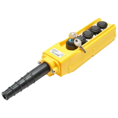 Telecomando industriale a 4 comandi e contatto generale con chiave 12V Breckner Germany - immagine 2