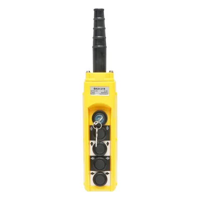 Telecomando industriale a 4 comandi e contatto generale con chiave 12V Breckner Germany