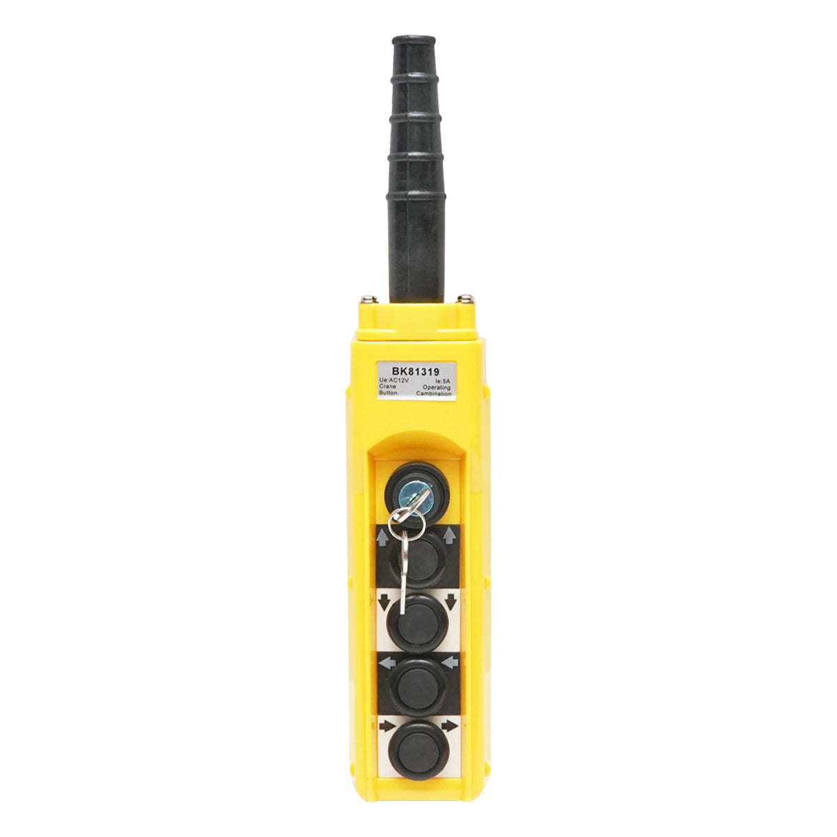 Telecomando industriale a 4 comandi e contatto generale con chiave 12V Breckner Germany