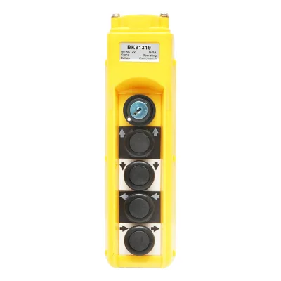 Telecomando industriale a 4 comandi e contatto generale con chiave 12V Breckner Germany - immagine 4