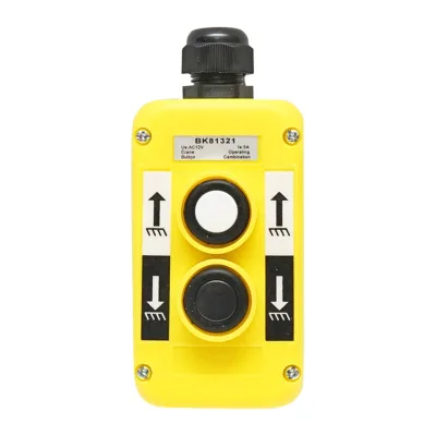Telecomando industriale con 2 comandi 12V Breckner Germany
