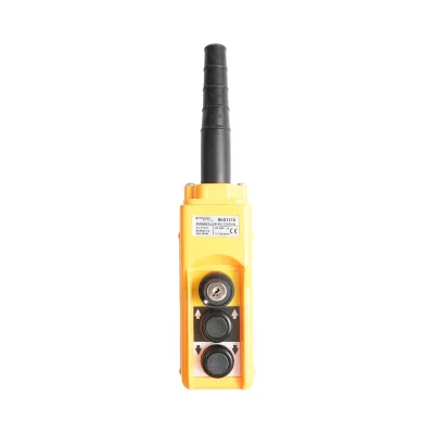 Telecomando industriale con 2 comandi e interruttore generale con chiave – AC 250V/5A – 500V/2A Breckner Germany