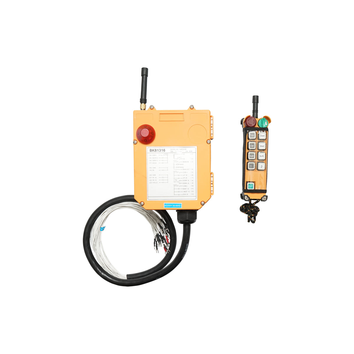 Telecomando industriale wireless con 10 comandi, alimentazione AC 220V e protezione impermeabile Breckner Germany
