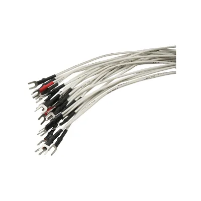 Telecomando industriale wireless con 10 comandi, alimentazione AC 220V e protezione impermeabile Breckner Germany - immagine 4