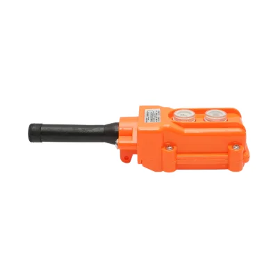 Telecomando per pompa di ribaltamento BK99251, BK99250 Breckner Germany - immagine 3