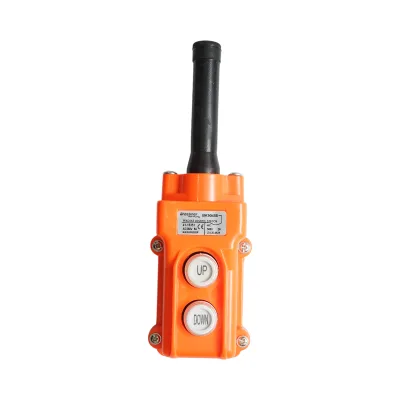 Telecomando per pompa di ribaltamento BK99251, BK99250 Breckner Germany