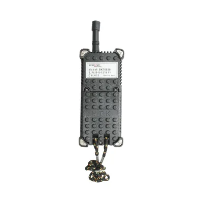 Telecomando wireless industriale AC 12V con 6 comandi IP65 Breckner Germany - immagine 4