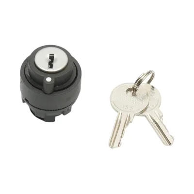 Testa manopola selettore a 2 posizioni con ritenuta chiave Ø 22mm LAY5 Breckner Germany - immagine 2