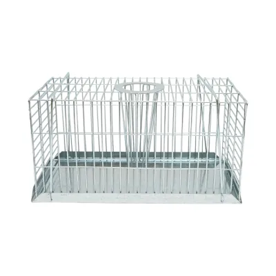 Trappola metallica a gabbia per ratti e topi, dimensioni 31x15x16,5 cm.