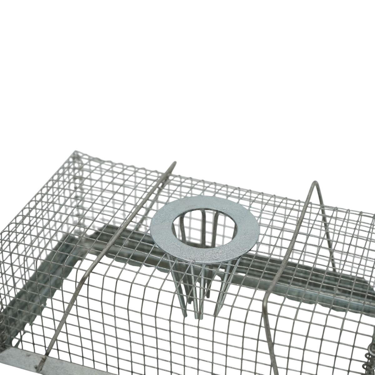 Trappola metallica a gabbia per topi e roditori, dimensioni 18,5x10x7 cm. - immagine 6