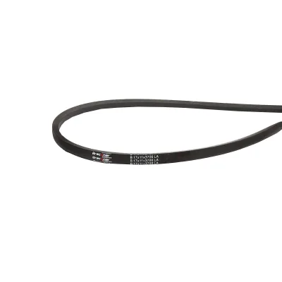 Trasmissione a cinghia trapezoidale B 17x11x3700 LA