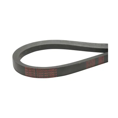Trasmissione a cinghia trapezoidale C 22x14x1926 LA - immagine 3
