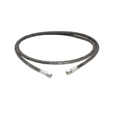 Tubo flessibile di pressione 2SN DN10 crimpato con estremità filettate L=2500mm - immagine 2