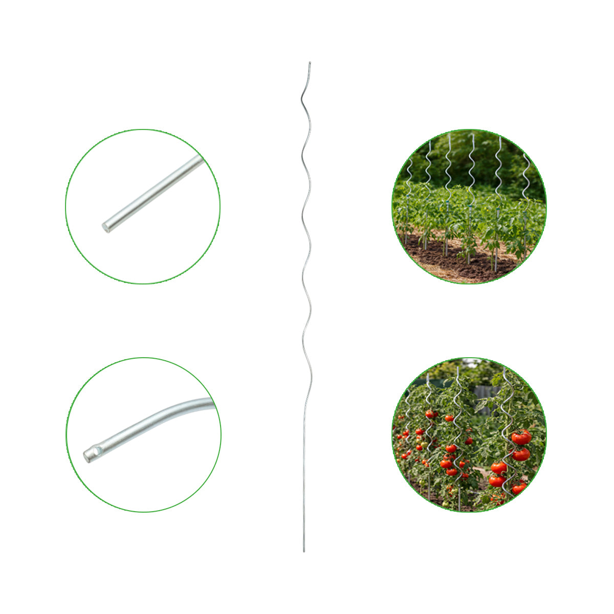 Tutore (sostegno) per pomodori in spirale metallica 6×1500 mm