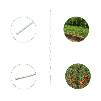 Tutore (sostegno) per pomodori in spirale metallica 6×2000 mm