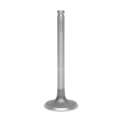 Valvola di aspirazione motore Perkins per Massey Ferguson, Landini, JCB 02200050, 739027M1, 31431641, 31431315, 02/200863, 31431103, 3639878M1