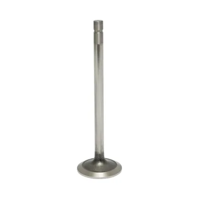 Valvola di scarico per John Deere Codici OEM: R504061, R84619, VPA1021, 43-153