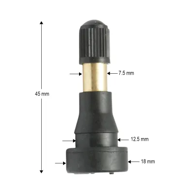 Valvola per ruota tubeless TR600 da 45 mm