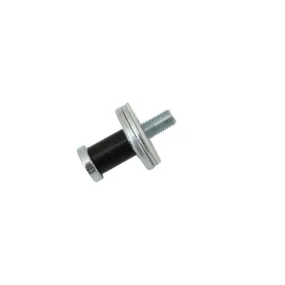 Vite di regolazione e bloccaggio della porta Dacia Logan con boccola in teflon (cremagliera di bloccaggio) 6001548677