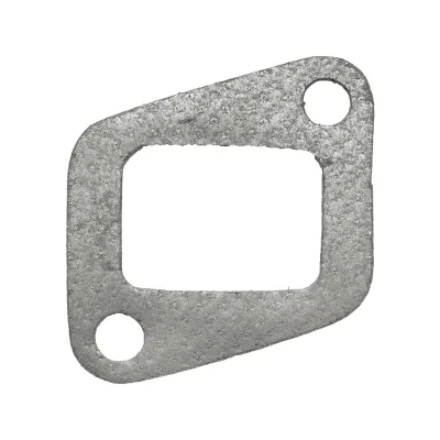 Guarnizione di scarico Massey Ferguson, Landini codice OEM 36862143
