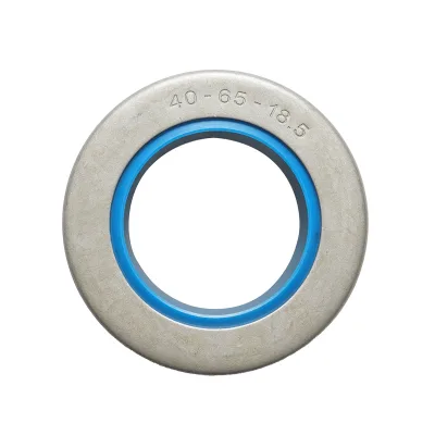 Guarnizione planetaria anteriore Case IH, Deutz, Massey Ferguson 40x65x18,5 mm Codice OEM 12013226, 04386559, 31953100, 4386559, 6005030410, 84021803, F222301020230, L209641, V31953100, X550083606000, 6407-34, B2144 - immagine 3