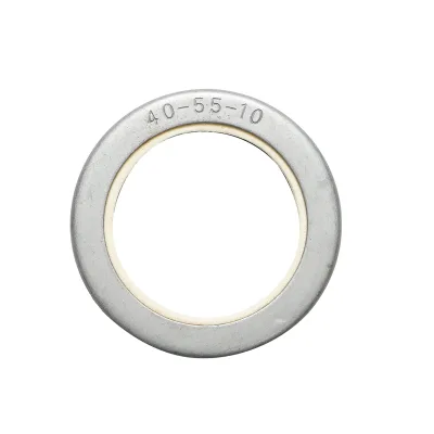 Guarnizione planetaria anteriore Massey Ferguson, Landini 40x55x10 mm codice OEM 3019957X1, 12001886B