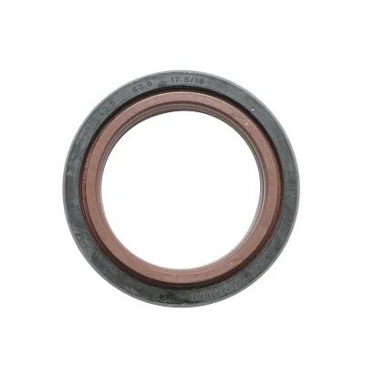 Guarnizione trasmissione 43,5x63,5x17,5/19mm Massey Ferguson 3599006M1 - immagine 4