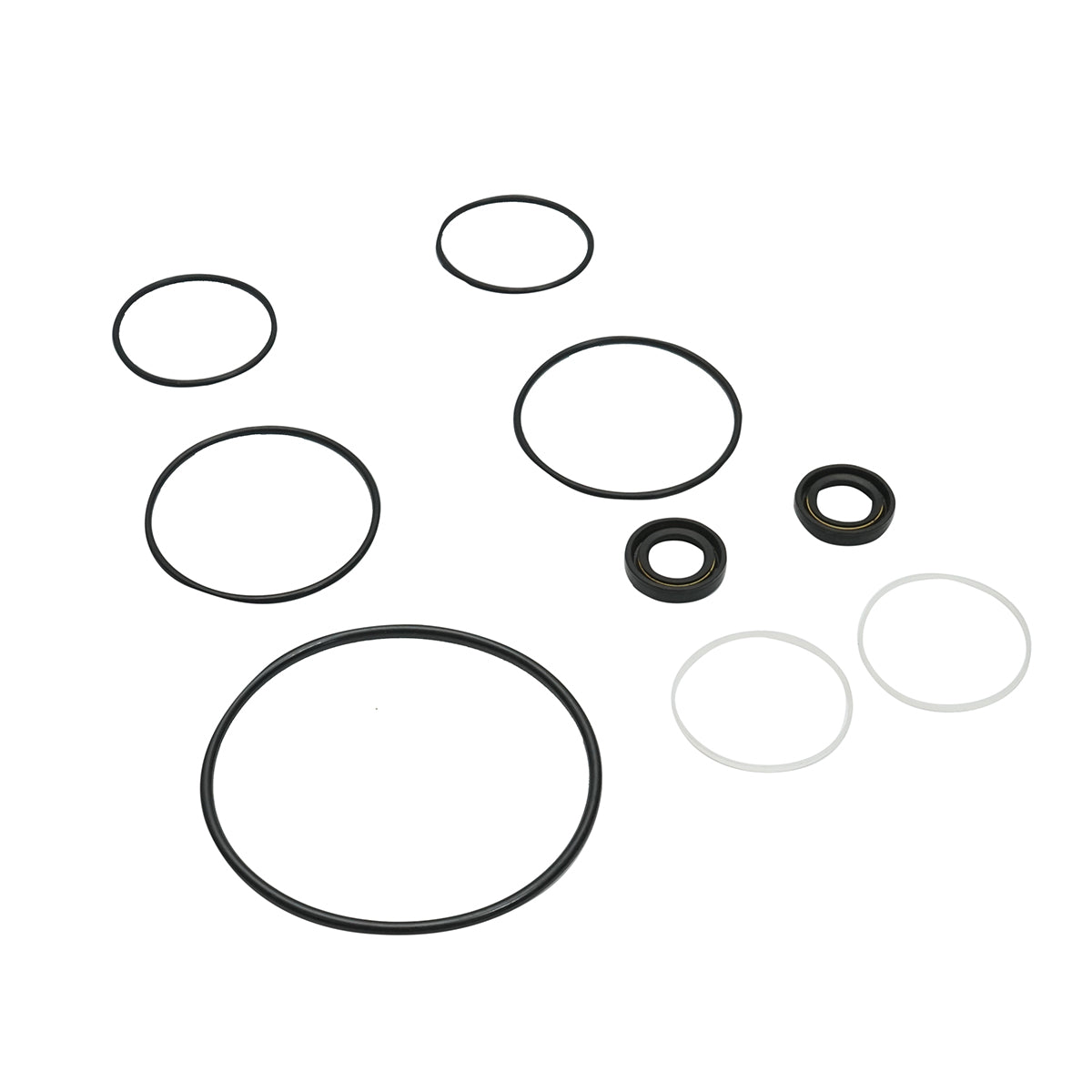Kit guarnizioni riparazione pompa idraulica servosterzo Massey Ferguson codice OEM 1810417M91 - immagine 2