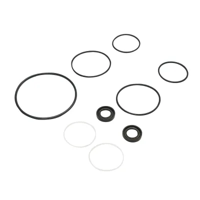 Kit guarnizioni riparazione pompa idraulica servosterzo Massey Ferguson codice OEM 1810417M91