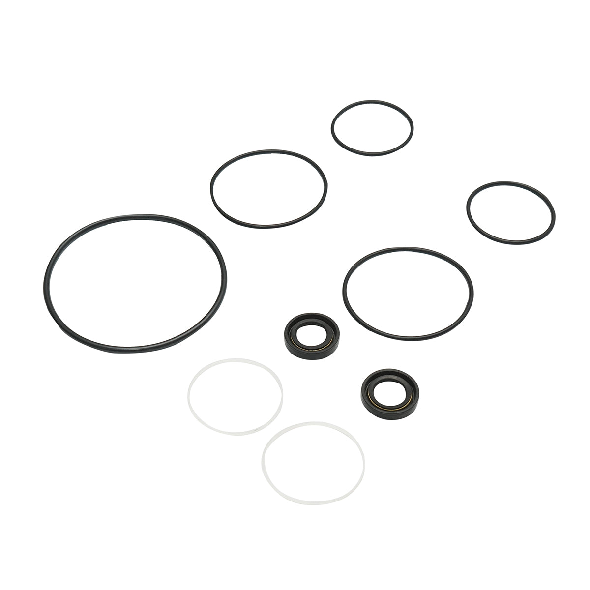 Kit guarnizioni riparazione pompa idraulica servosterzo Massey Ferguson codice OEM 1810417M91