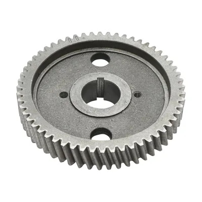 Pignone albero a camme per Massey Ferguson, Landini, Perkins 3641740M1, 748182M1, 31171138, 02190002, 3637421M1, 31171351, 31171353