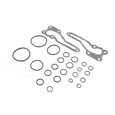 Set guarnizioni pompa idraulica Massey Ferguson codice OEM 1810684M92