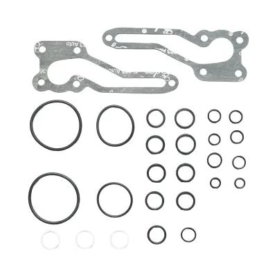 Set guarnizioni pompa idraulica Massey Ferguson codice OEM 1810684M92 - immagine 2