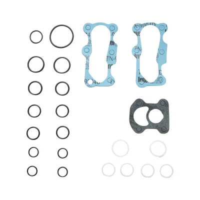 Set guarnizioni pompa idraulica per MAssey Ferguson codice OEM 1810680M93, 1810680M92
