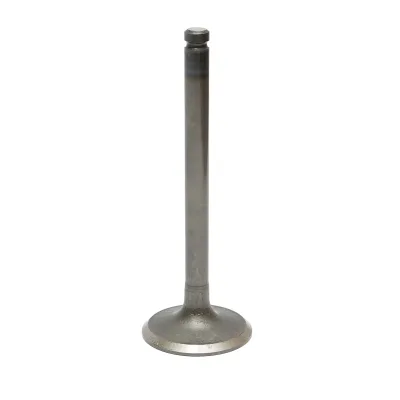 Valvola di aspirazione Massey Ferguson Codice OEM 3142H002, 746823M1