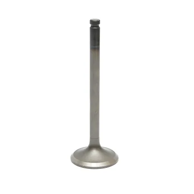 Valvola di aspirazione Massey Ferguson codice OEM 731151M1