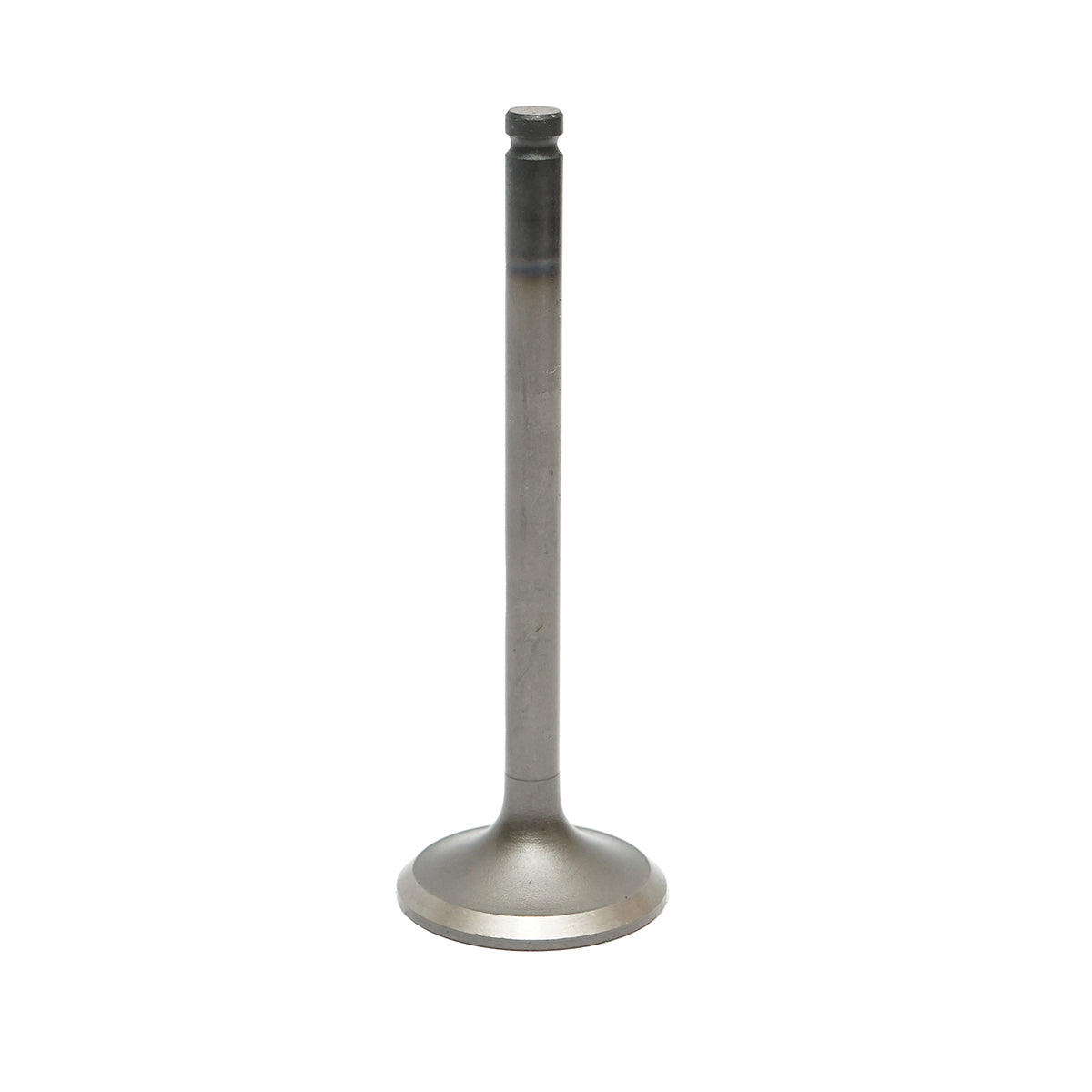 Valvola di aspirazione Massey Ferguson codice OEM 731151M1