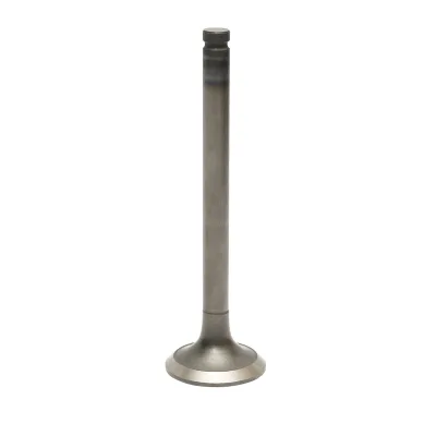 Valvola di scarico Massey Ferguson, Landini codice OEM 31431591