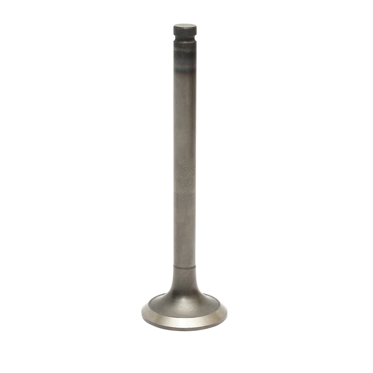 Valvola di scarico Massey Ferguson, Landini codice OEM 31431591