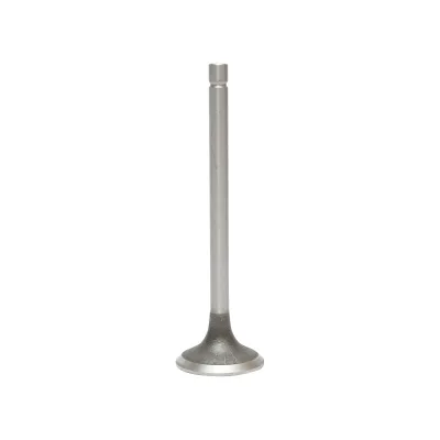 Valvola di scarico per Fiat, Massey Ferguson, CASE IH codice OEM 4803805, 4824417, 500300570, 78500003, 82982109, 98403097, 98473704, 99432652, 153634221, 1904656,, 1908408, 4771023