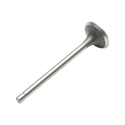 Valvola di scarico per Fiat, Massey Ferguson, CASE IH codice OEM 4803805, 4824417, 500300570, 78500003, 82982109, 98403097, 98473704, 99432652, 153634221, 1904656,, 1908408, 4771023 - immagine 3